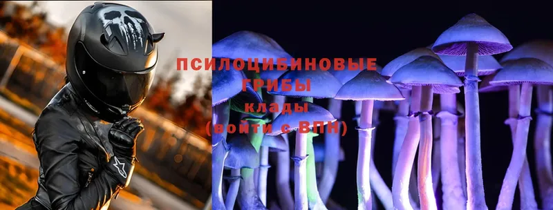 Галлюциногенные грибы Magic Shrooms  Лебедянь 